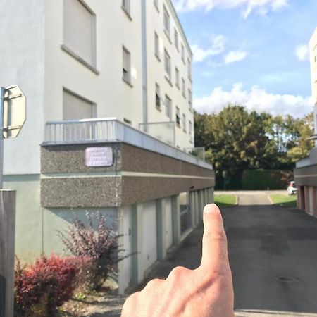 Studio T A 5Mn Euro Airport Avec Terrasse Saint-Louis  Exterior photo