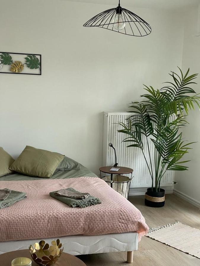Studio T A 5Mn Euro Airport Avec Terrasse Saint-Louis  Exterior photo